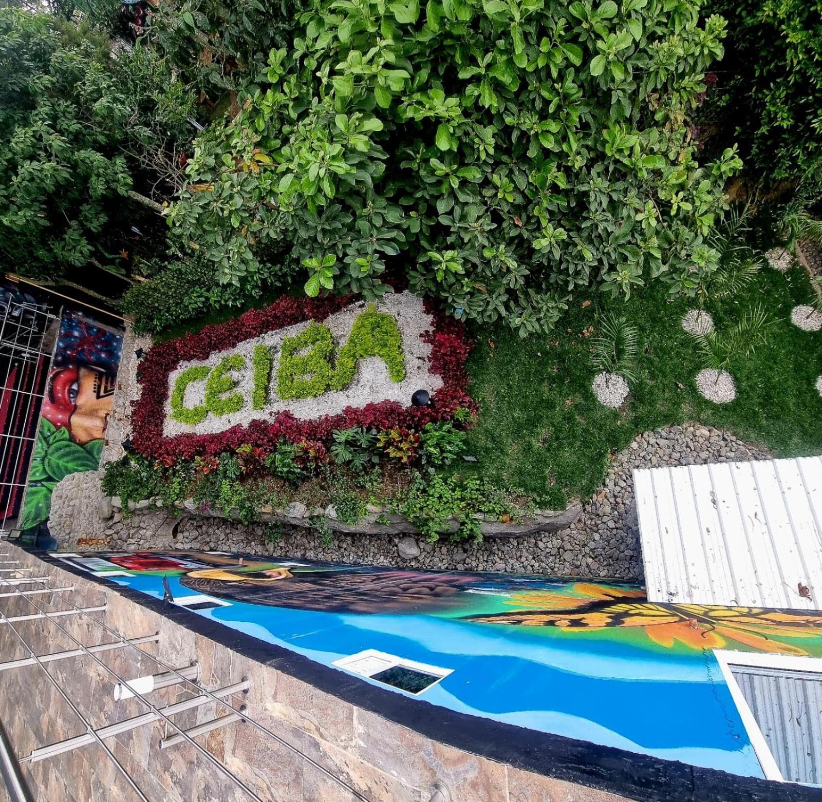 Ayenda Ceiba Rooms بيريرا المظهر الخارجي الصورة
